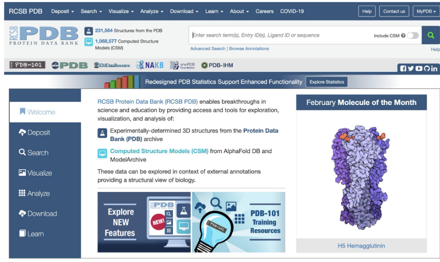 <ul><li><p>RCSB protein data bank</p></li><li><p>structures are published and can be accessed for visualization and analysis</p></li></ul><p></p>