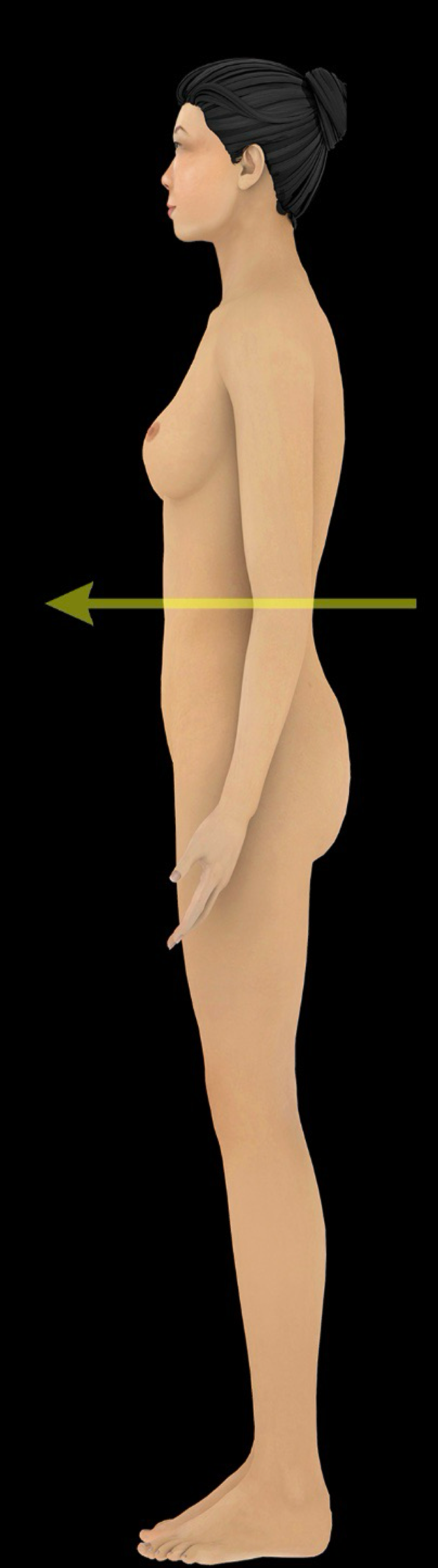 <p>toward the front of the body </p><p>-ex: the sternum is <strong>anterior</strong> to the heart</p><p>-opposite of posterior</p><p>-ventral, sometimes used synonymously with anterior, relates to belly </p>
