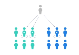 <p>Define what type of Non-Probability Sampling is being illustrated.</p>