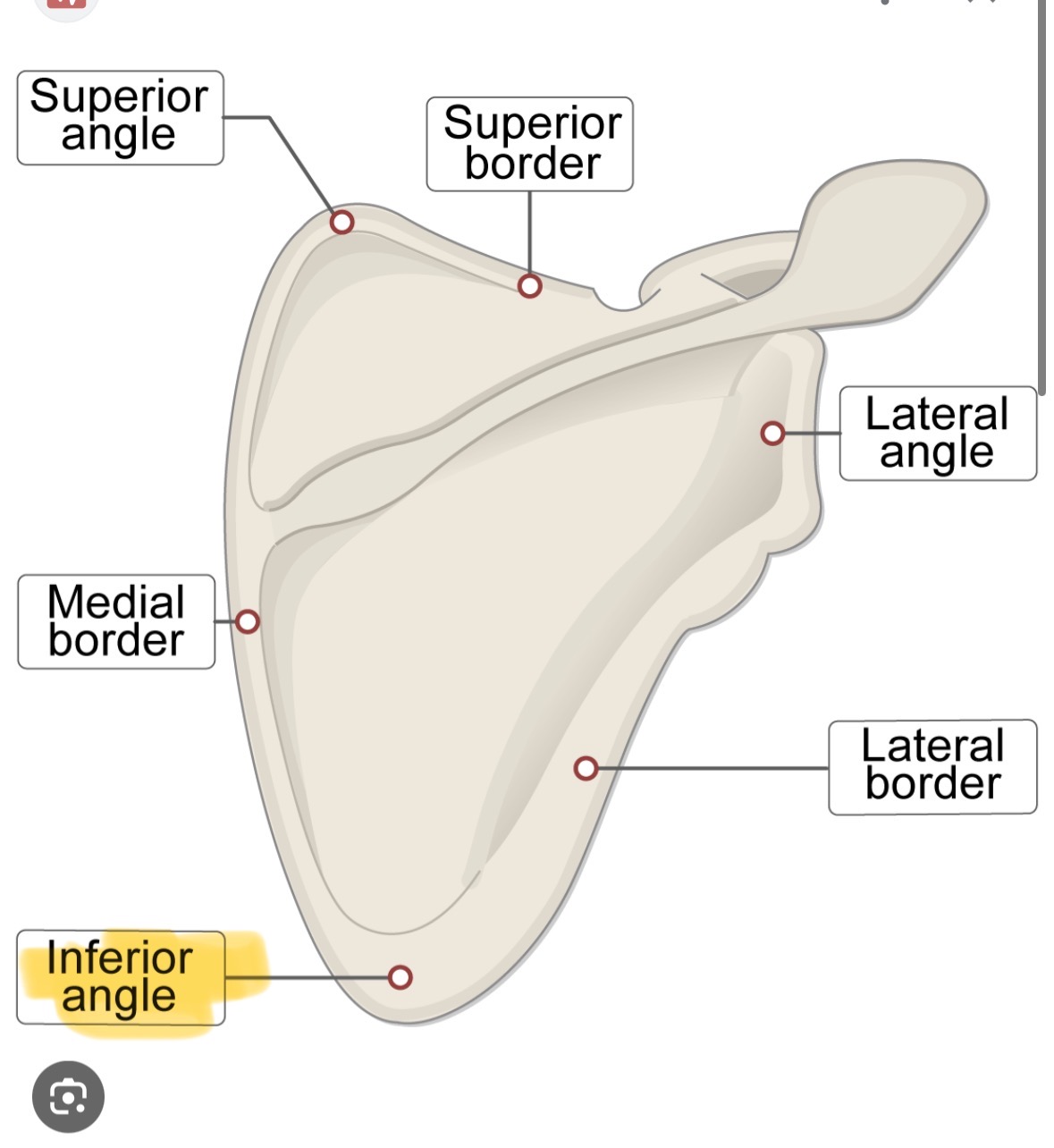 knowt flashcard image