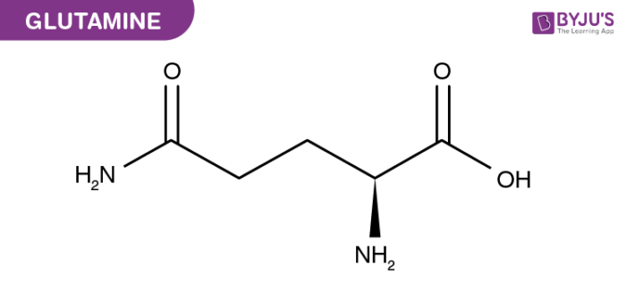 <p>Gln, Q, polar neutral</p>