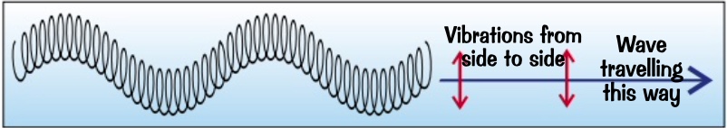 in transverse waves the vibrations are at 90 degrees to the direction energy is transferred by the wave.

e.gs:

* light and all other EM waves
* a slinky spring wiggled up and down
* waves on strings
* ripples on water