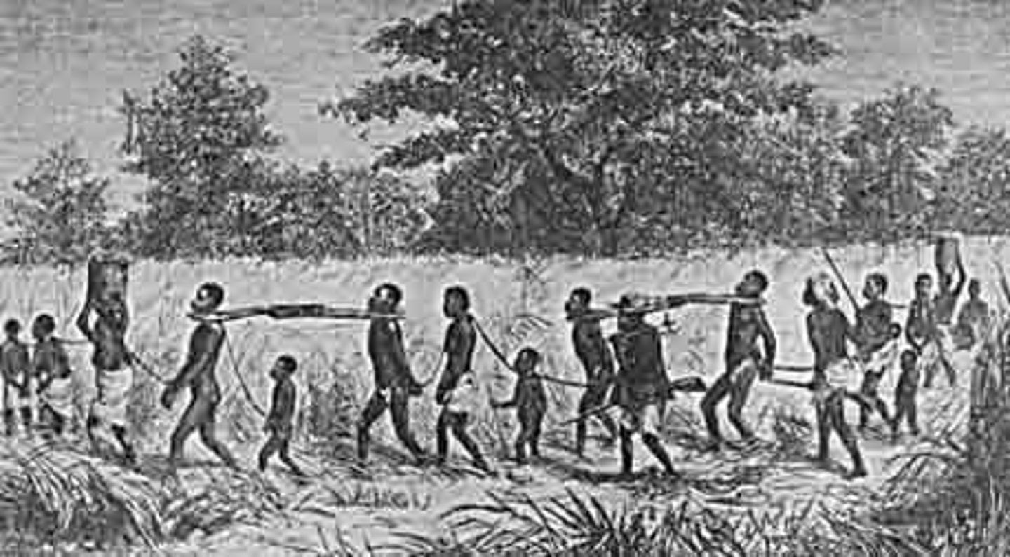 <p>slavery</p>
