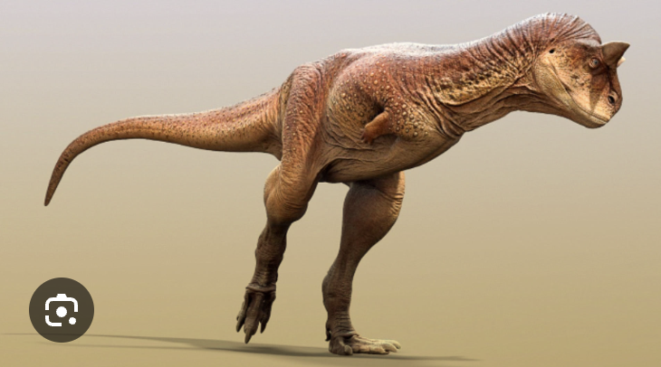 <p>Abelisaurids </p>
