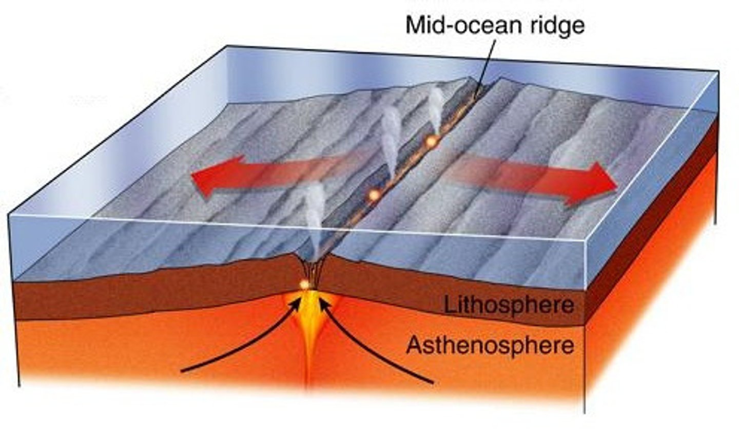 <p>Features: Mid-ocean ridge, underwater volcanoes</p><p>Example: Mid-Atlantic Ridge</p>