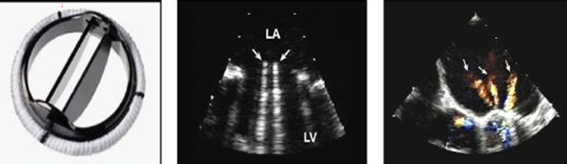 <p>what is this?</p>