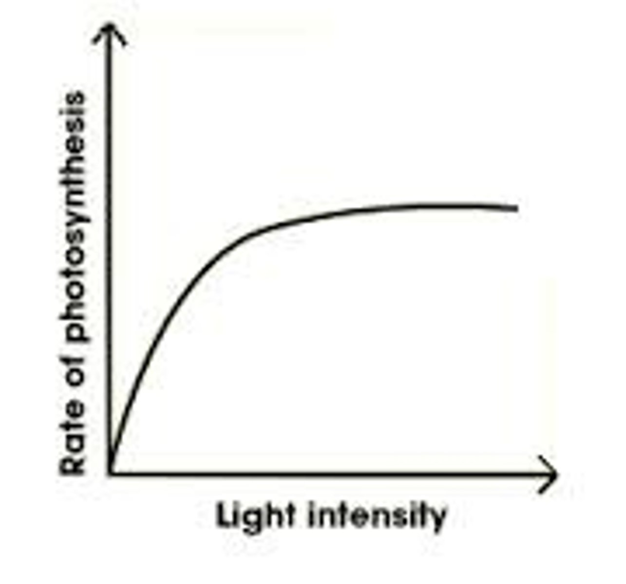 <p>Photosynthesis rate increases and then plateaus due to another limiting factor such as temperature or carbon dioxide</p>