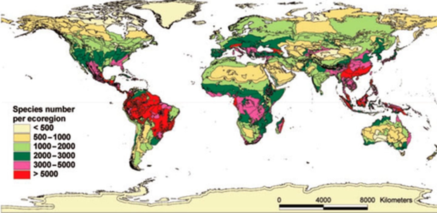 <p>Map of the world</p><p>- aggregated at a global level</p><p>- almost impossible to use</p>