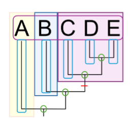 <p>What are the nodes on this phylogenetic tree?</p>