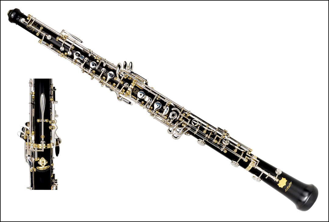 <p>oboe(n)</p>