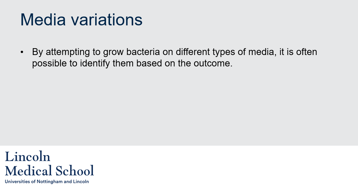 <ol><li><p>By attempting to grow bacteria on different types of media, it is often possible to identify them based on the outcome.</p></li><li><p>Different types of media support the growth of different bacteria. For example, some media contain nutrients that only certain bacteria can metabolize, while others contain inhibitors that prevent the growth of certain bacteria. By observing which bacteria grow on which media, it is possible to identify them based on their metabolic capabilities and sensitivity to specific inhibitors.</p></li></ol>