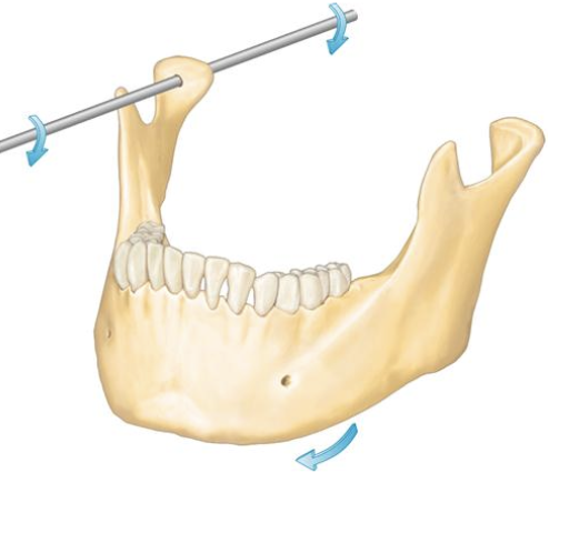 <p>Axis of rotation</p>