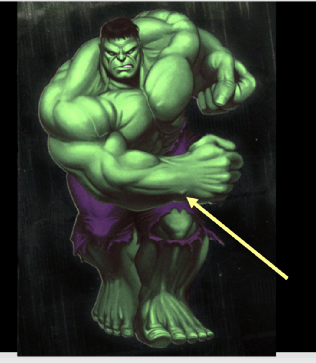 <p>what is pictured here?</p>