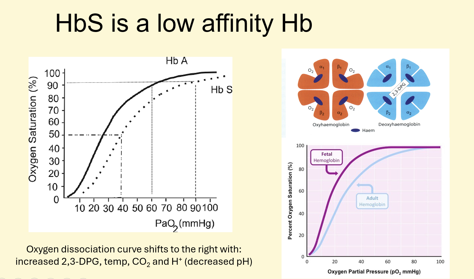 <p><span><span>1) Anaemia compensated by ­2,3-DPG</span></span></p><p><span><span>2) This moves the oxygen dissociation curve to the right</span></span></p><p><span><span>3) Oxy-haemoglobin releases its oxygen to the tissues at higher levels of tissue oxygen</span></span></p><p></p>