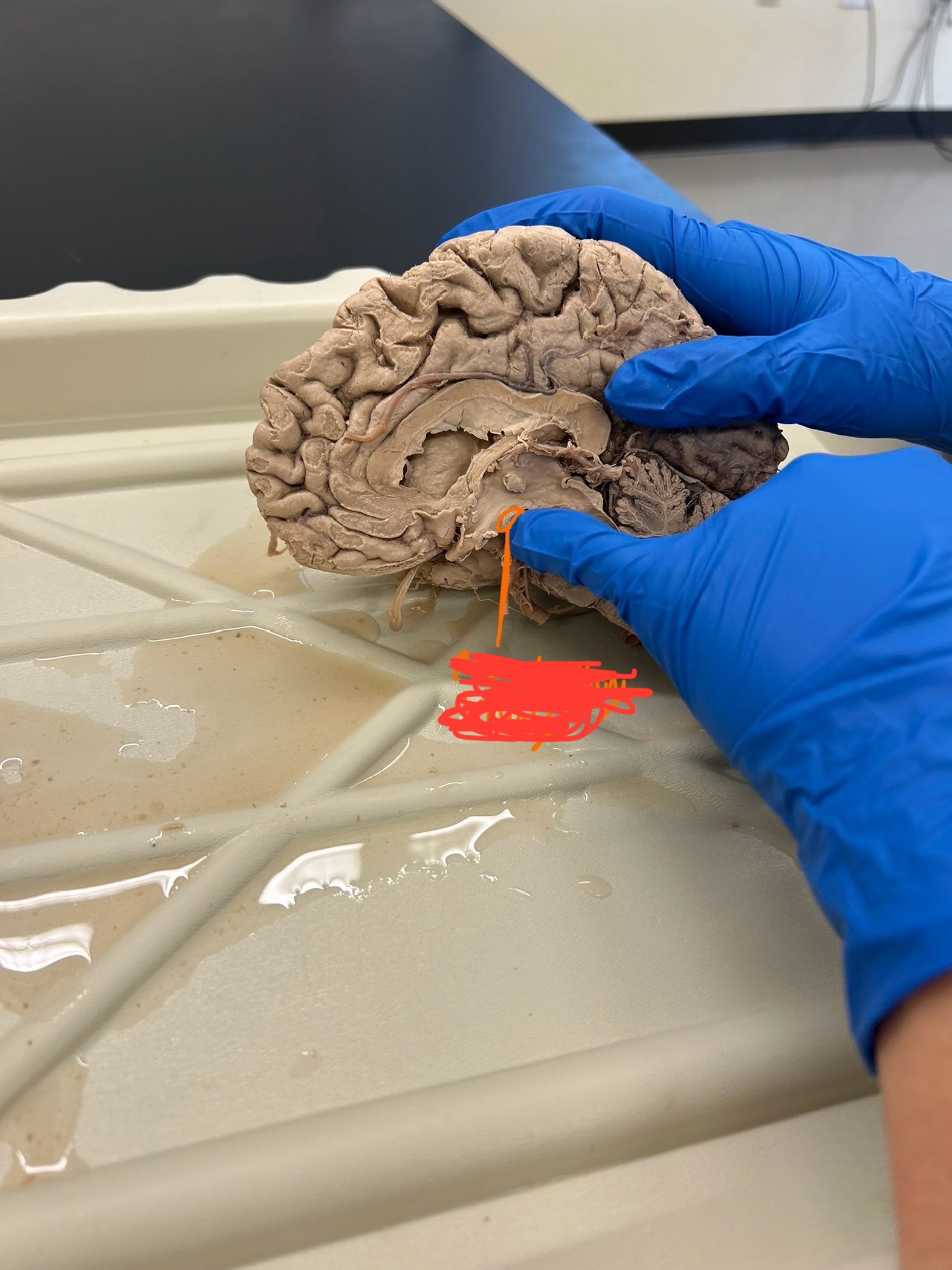 <p>What is this showing?</p>