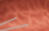 <p>what is this?</p>