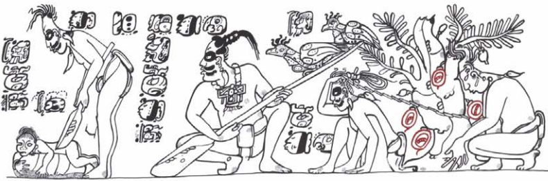 term image