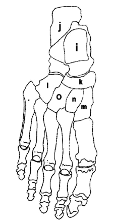 <p>What is J?</p>