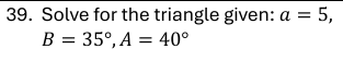 term image