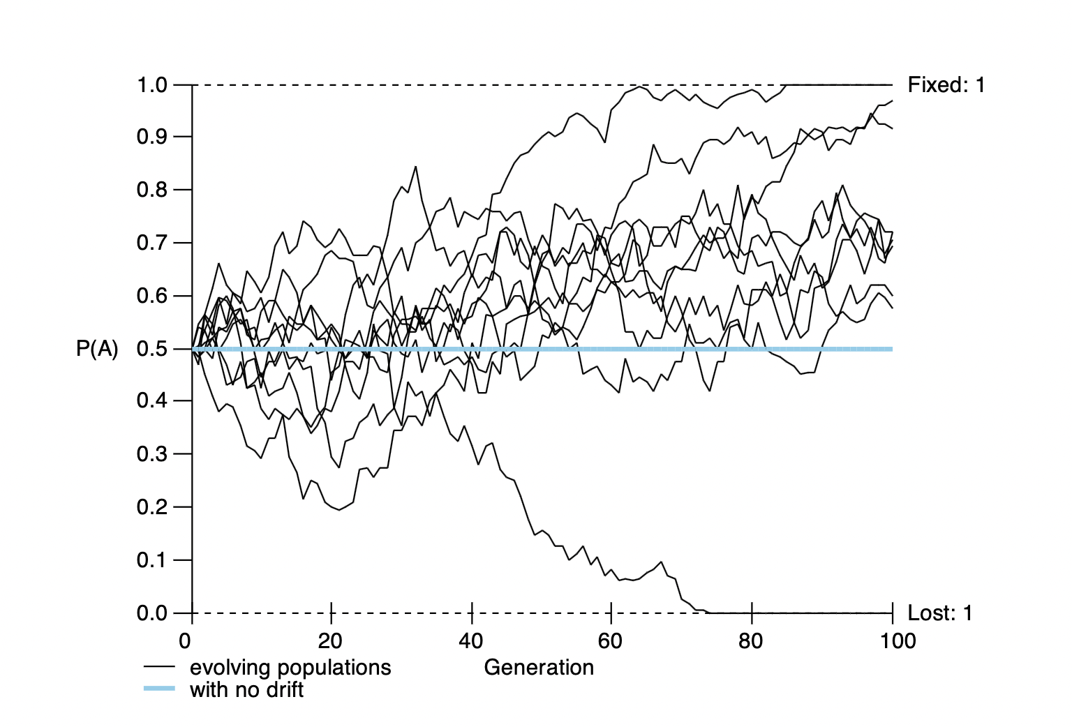 <p>What does this figure depict?</p>