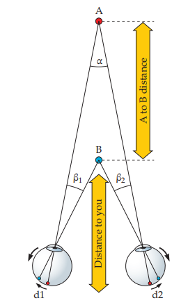 <p>the difference in the angular distance of the images of an object from the foveas of the two eyes </p>