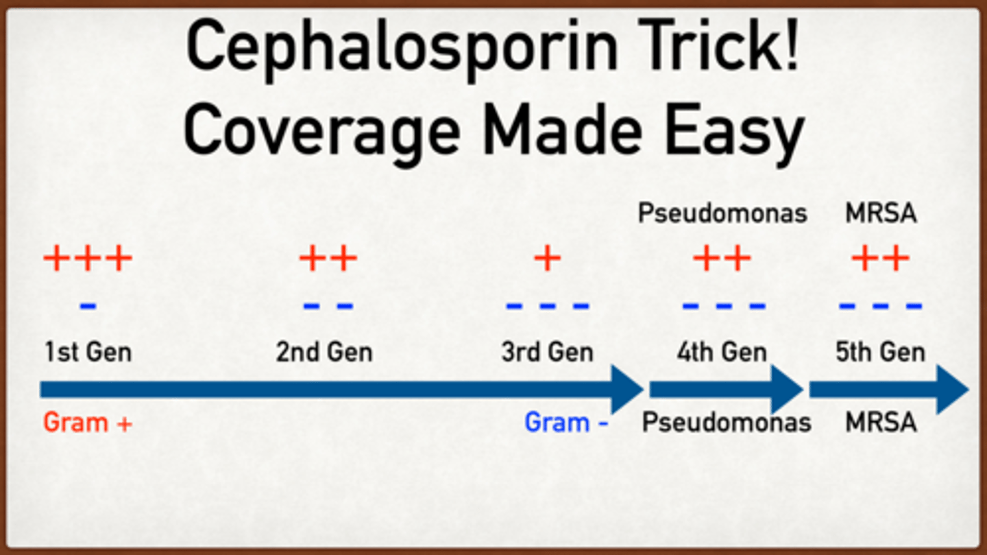 <p>1st: strep, staph The least gram (-)</p><p>2nd: </p><p>cefuroxime: more resistant strep, more gram (-) incl anaerobe</p><p>3rd:</p><p>Group 1 - : resistant strep, MSSA, gram + anaerobes, resistent gram -</p><p>Group 2 - ceftazidine pseudomonas</p><p>4th: Pseudomonas (broad gram -)</p><p>5th: like resistent gram -, broad gram + incl MRSA</p>