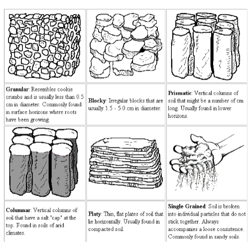 <p><span style="color: rgb(0, 0, 0);"><strong><span>Soil texture</span></strong></span><span style="color: rgb(0, 0, 0);"><br></span><span style="color: rgb(0, 0, 0);"><span>• Determined by mechanical analysis</span></span><span style="color: rgb(0, 0, 0);"><br></span><span style="color: rgb(0, 0, 0);"><span>• % in each of the various soil particle size fractions</span></span><span style="color: rgb(0, 0, 0);"><br></span><span style="color: rgb(0, 0, 0);"><span>• affects many other soil physical and chemical properties</span></span></p><p><span style="color: rgb(0, 0, 0);"><strong><span>Soil Structure </span></strong></span></p><p><span style="color: rgb(0, 0, 0);"><span>(in image)</span></span></p>