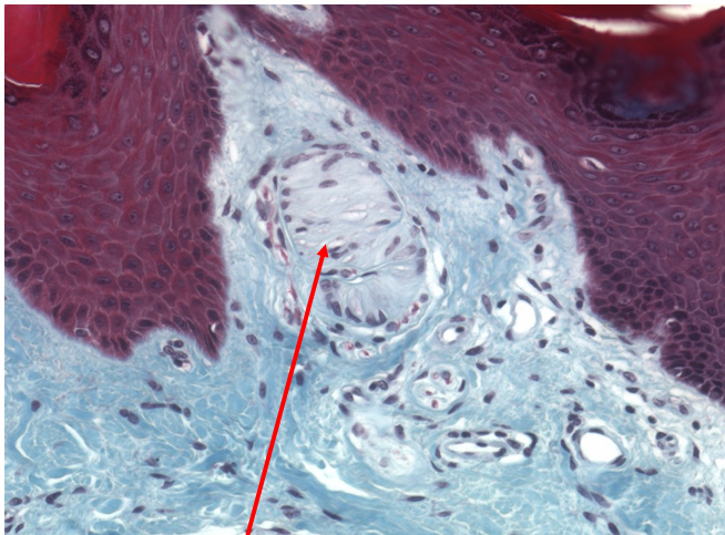 <p>what’s this?</p>