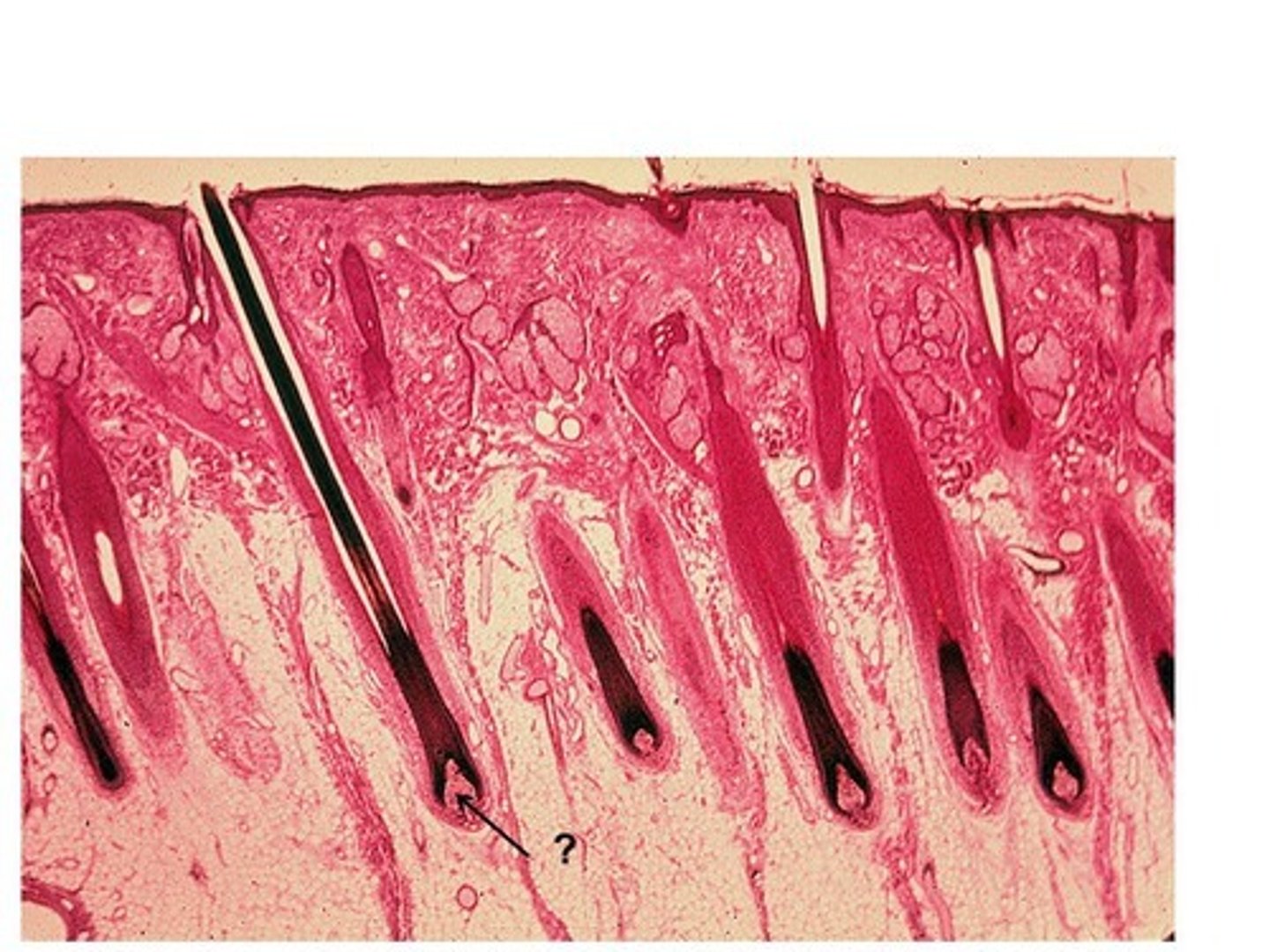 <p>what is this called?</p>