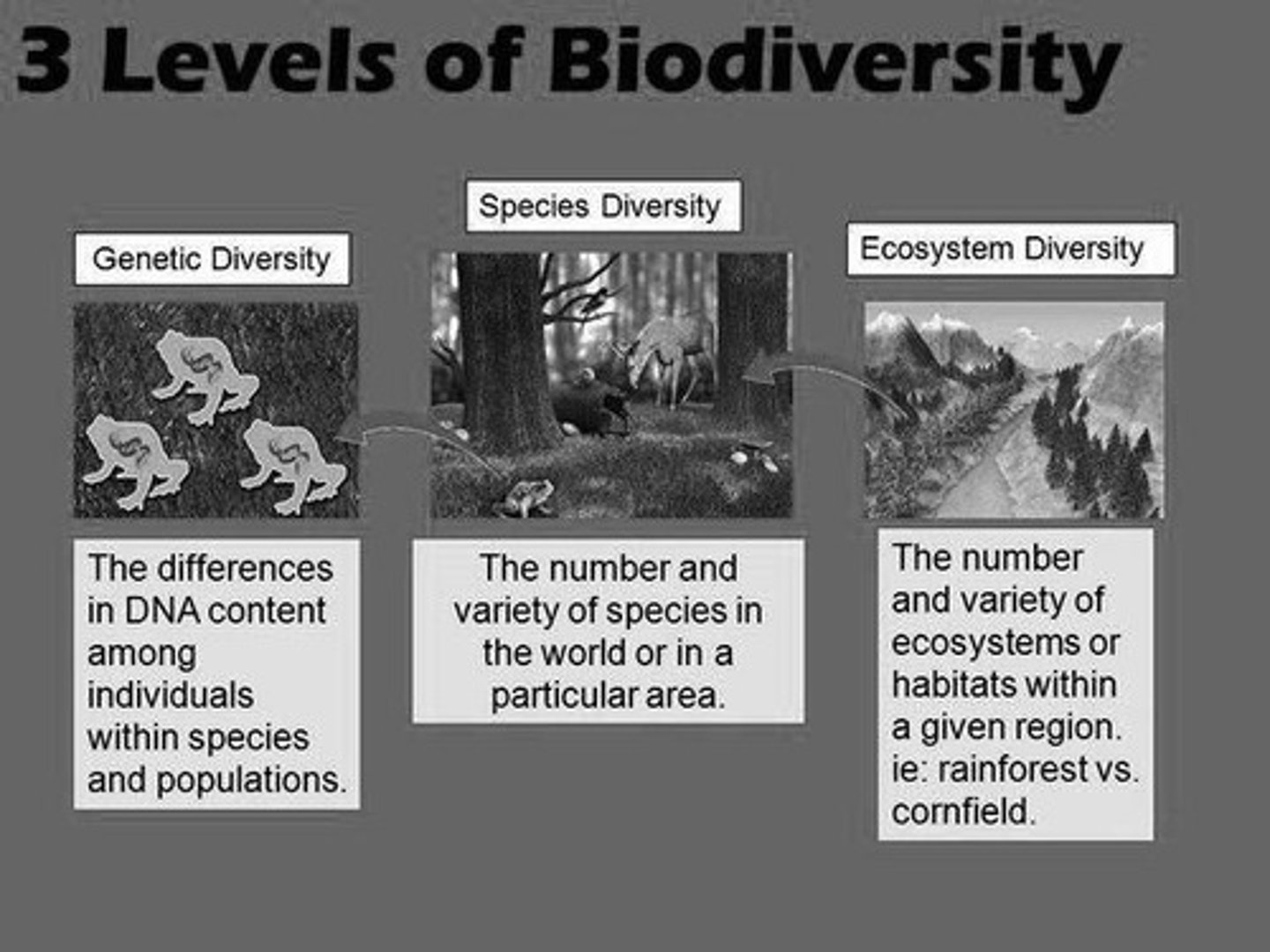 <p>Genetic diversity, species diversity, and ecosystem diversity.</p>