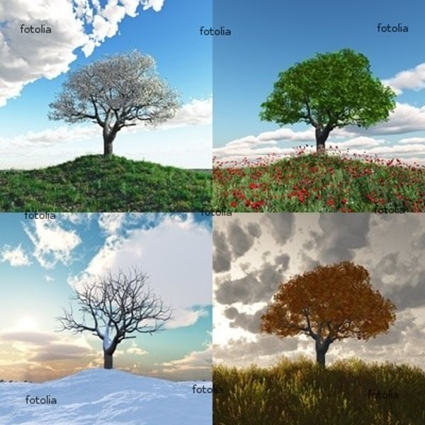 <p>Each of the four divisions of the year (winter, spring, fall, summer)</p>