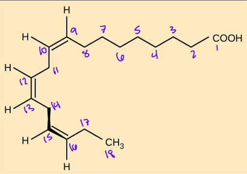 <p>What is the omega nomenclature?</p><p>Delta Nomenclature?</p><p>Name of fatty acid?</p>