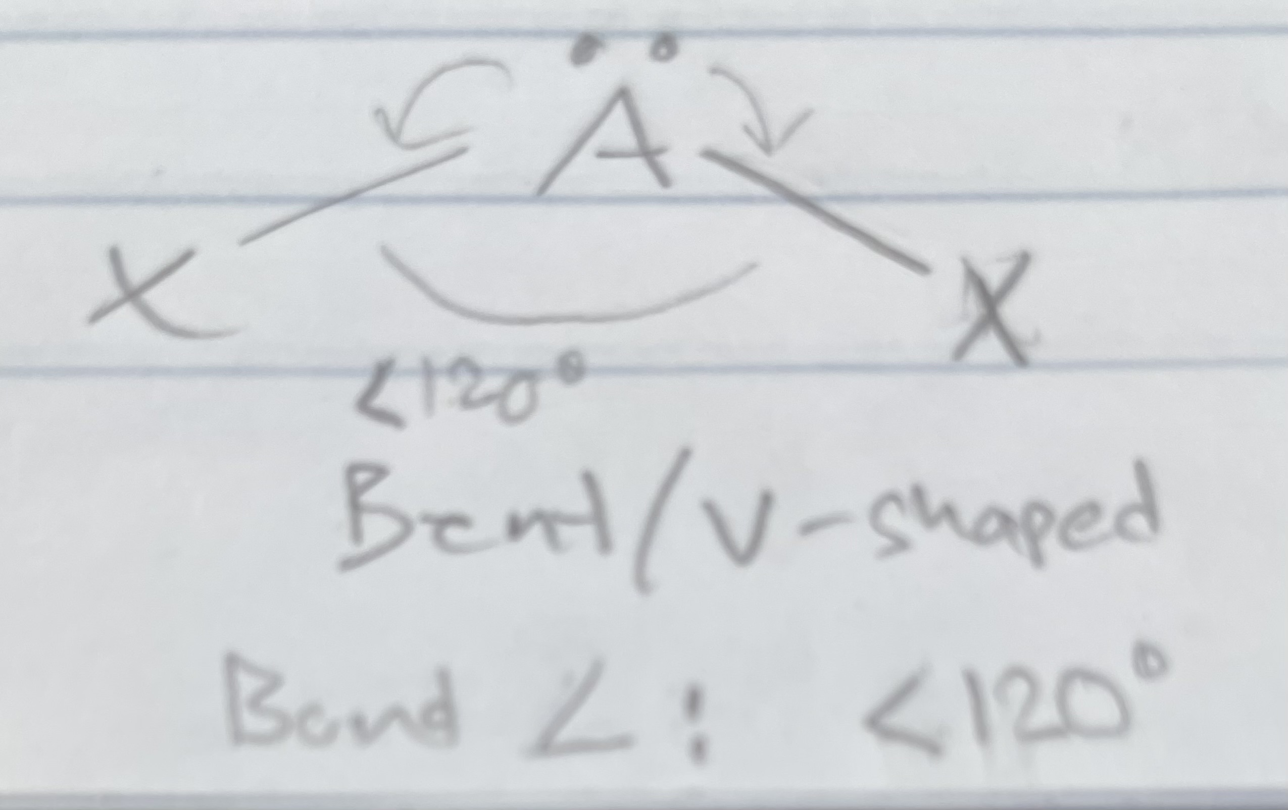 <p>Bent/V-shaped</p><p>Angle: &lt;120</p>