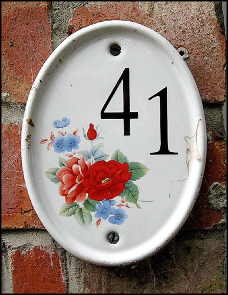 <p>41 (forty-one)</p>