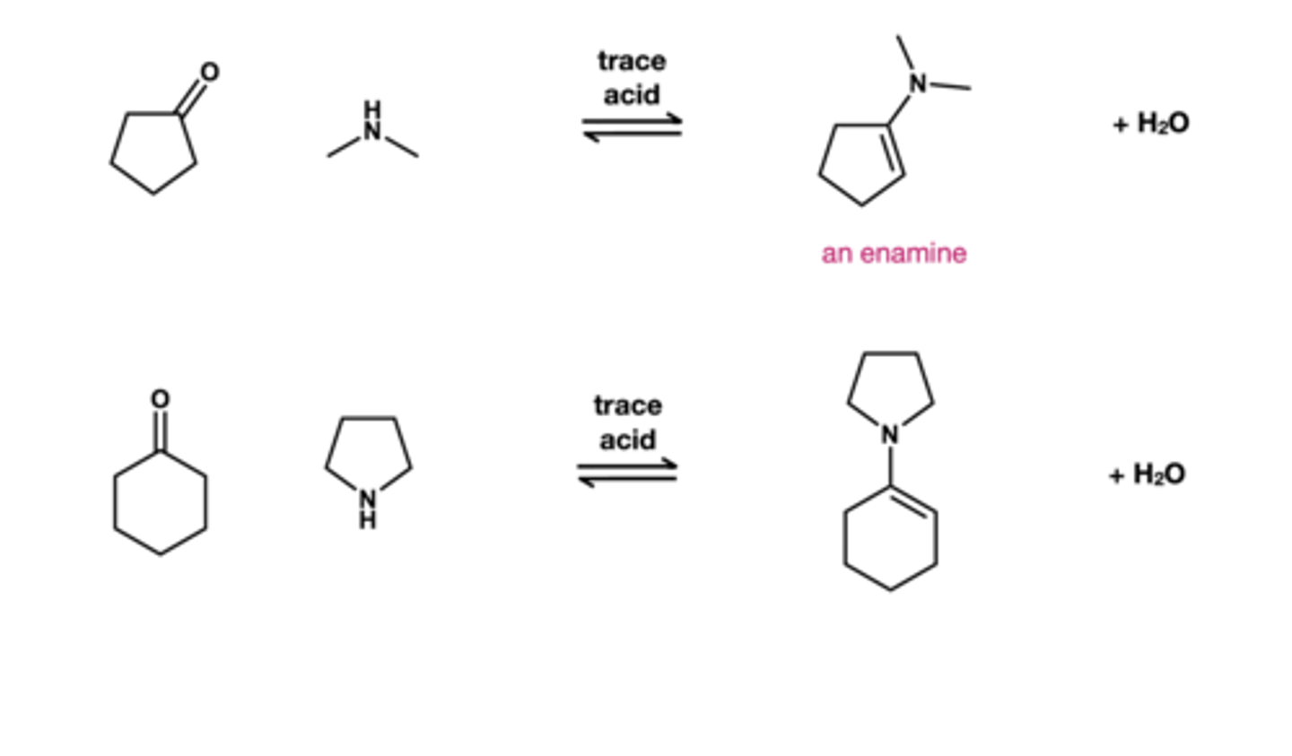 <p>secondary amine + trace acid</p>