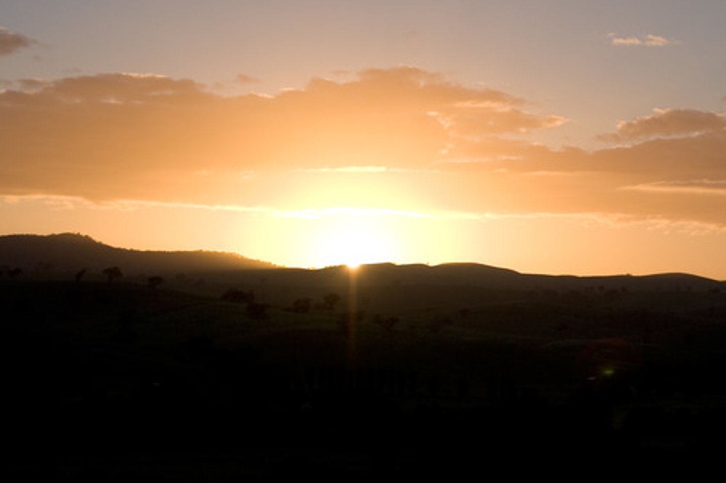 <p>dawn</p>