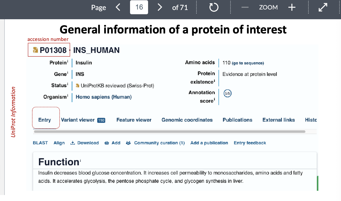 <ul><li><p>accession numnber = unique ID for protein</p></li></ul><p></p>