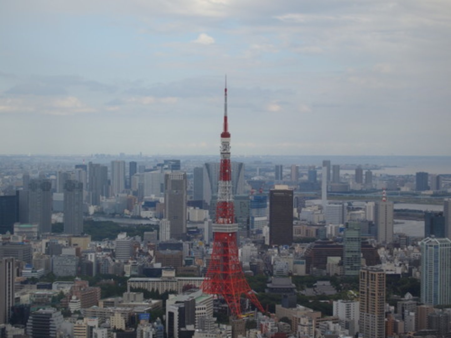 <p>とうきょう</p><p>Tokyo</p>