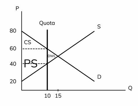 <p>A government can set a limit on how much product can be produced or imported.</p>