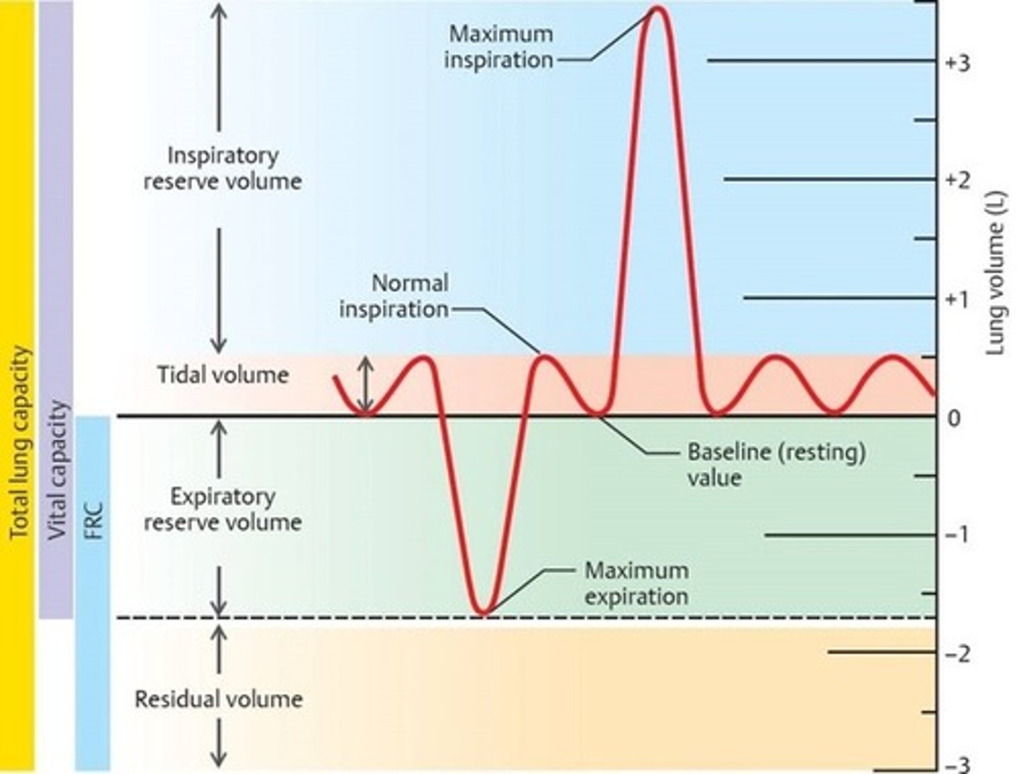 <p>the volume of air remaining in the lungs at the end of a maximal expiration.</p>