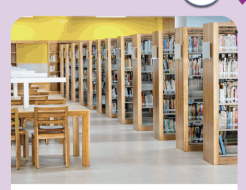 <p>la biblioteca</p>