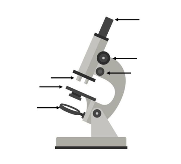 <p>Label this diagram of a microscope</p>