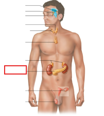<p>What structure is highlighted?</p>