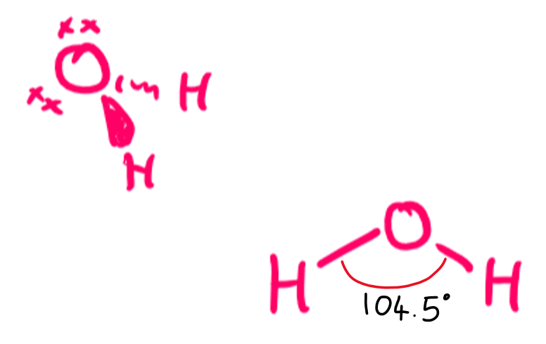 <ul><li><p>V-shaped or bent</p></li><li><p>2 bonding pairs and 2 lone pairs of electrons</p></li><li><p>104.5 degrees</p><p></p></li></ul><p></p>