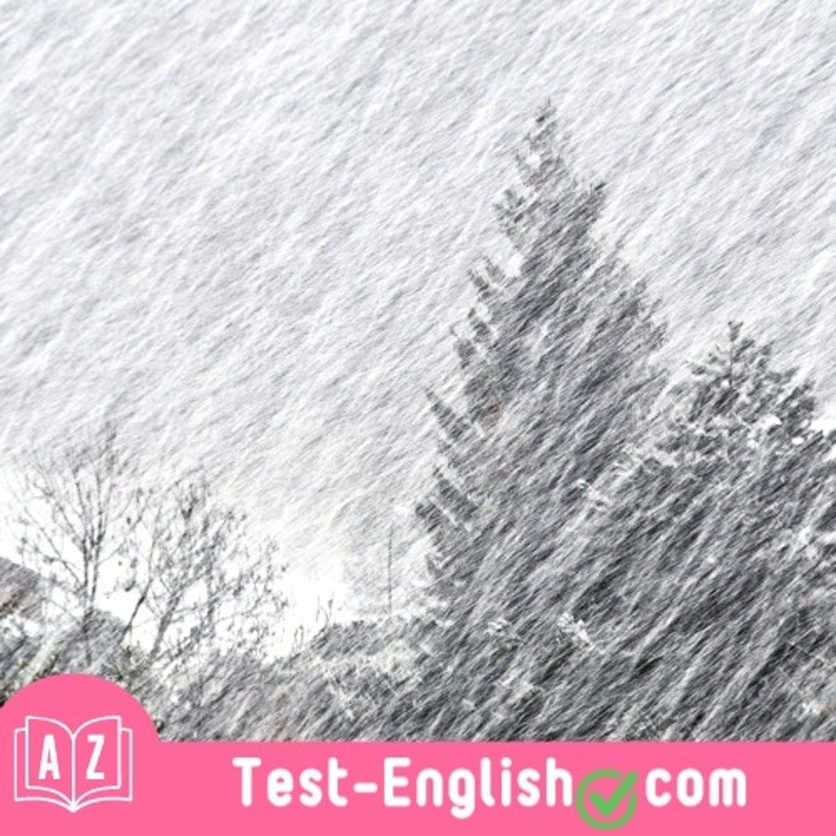 <p>The _____ brought heavy snowfall and strong winds.</p>