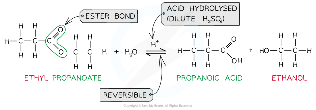 <p>an equilibrium mixture is established as the reaction is reversible</p>