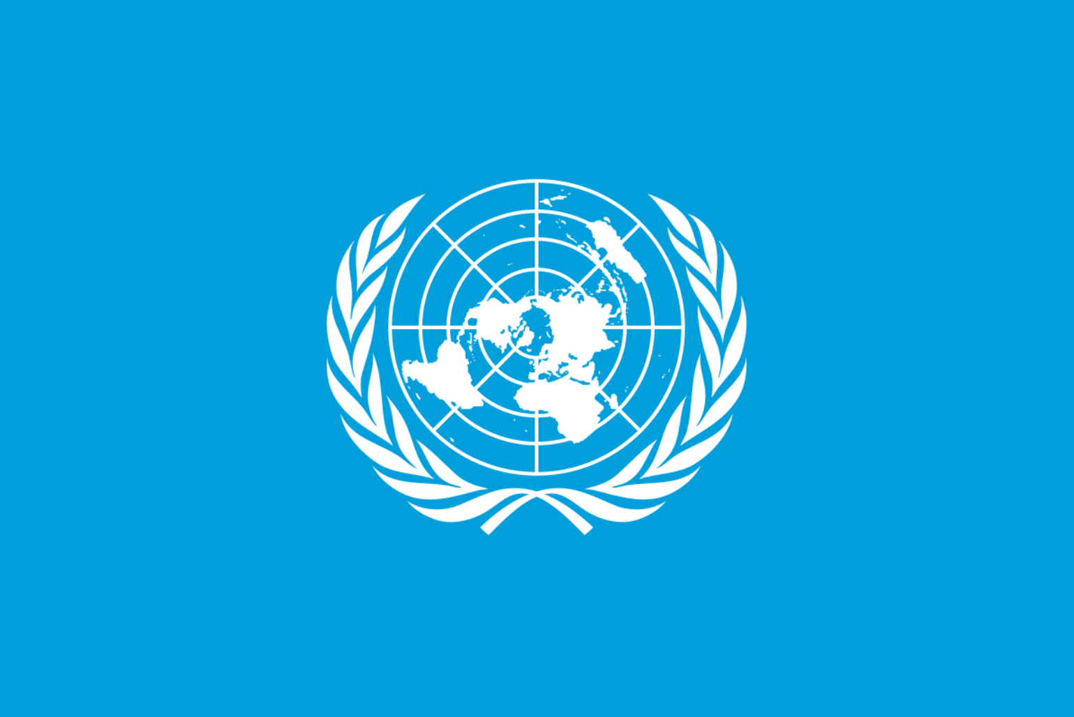 <p>What was the UN declaration on Human rights?</p>