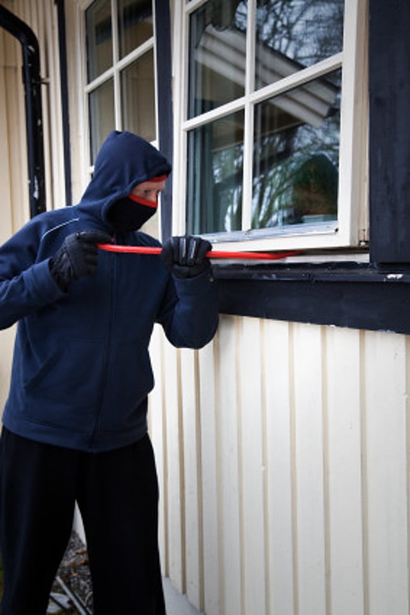 <p>(n) the crime of illegally entering a building and stealing things</p>