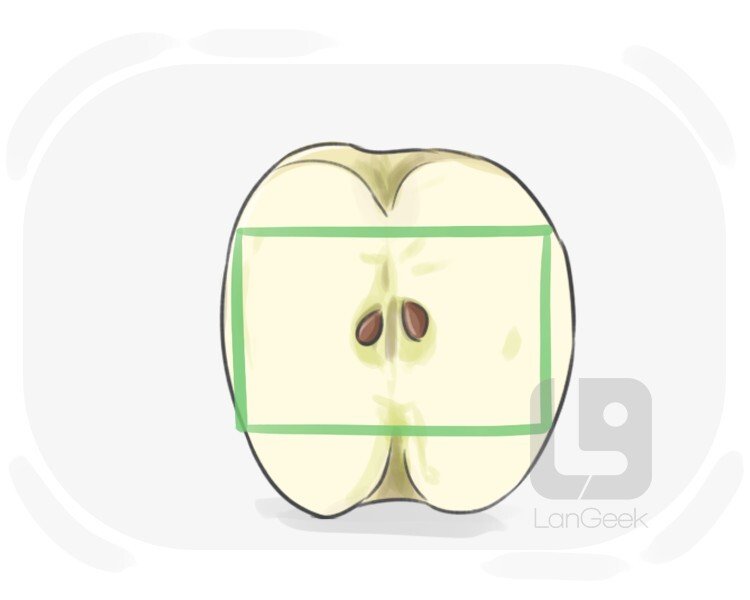 <p><span style="background-color: transparent;"><span>núcleo, parte más importante</span></span></p>