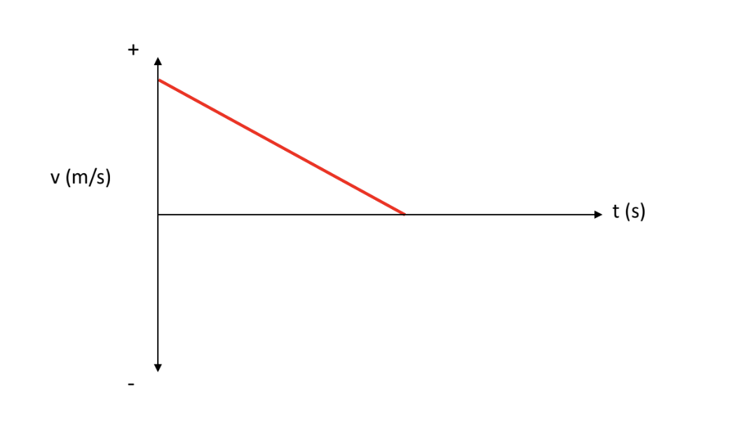 <p>[VELOCITY-TIME GRAPH] How is the object moving?</p>